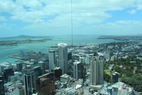 Here you can see a few High rises in the downtown of Auckland.
