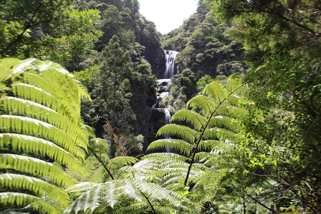 Piha Waterfalls